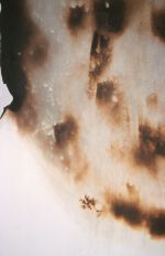 Withheld Above (detail) 1999 by Benedict Ernst